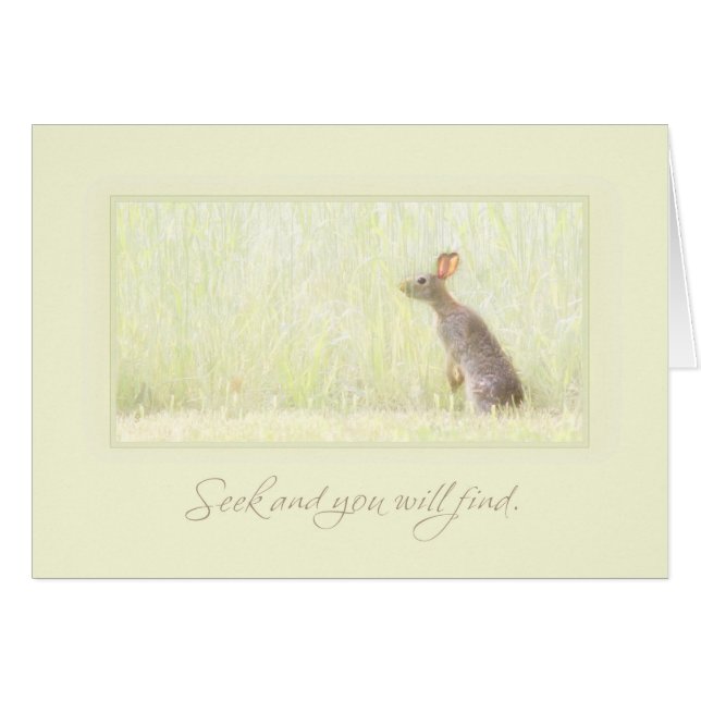 シークおよび発見 (正面横)