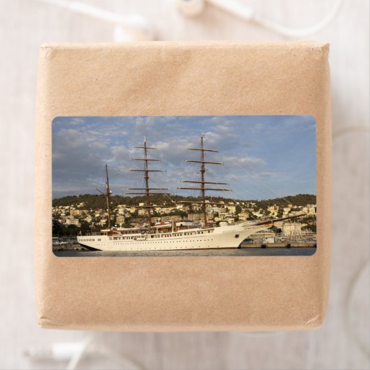 シークラウドII ラベル (インサイチュ)