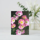 シークレットガーデンバラ写真 ポストカード (スタンド正面)