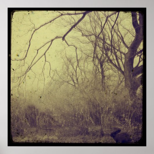 シークレットガーデン ポスター (正面)