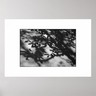 シークレットガーデン ポスター