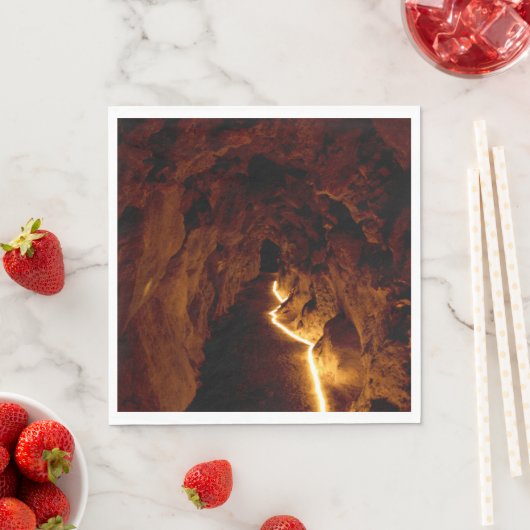 シークレットトンネル スタンダードランチョンナプキン (インサイチュ)