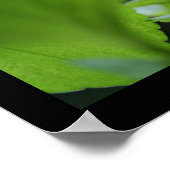 シークレットバイオレット花の写真ポスター ポスター (角)