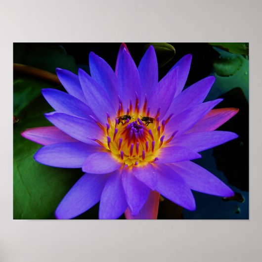 シークレットランデブー ポスター (正面)