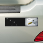 シーグフレンドリール? バンパーステッカー (車上)