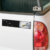 シーグフレンドリール? バンパーステッカー (トラック上)