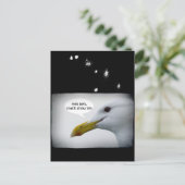 シーグフレンドリール? ポストカード (スタンド正面)