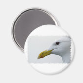 シーグフレンドリール？ マグネット (正面/裏面)