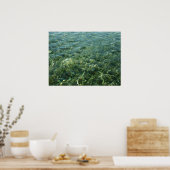 シーグラスI自然の上のカリブの水 ポスター (キッチン)