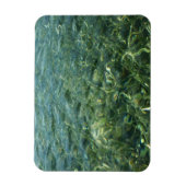 シーグラスI自然の上のカリブの水 マグネット (縦)