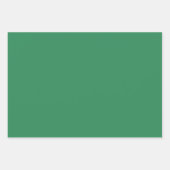 シーグリーン無地のカラー ラッピングペーパーシート (正面)