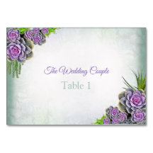 シーグリーン、バイオレットテーブルカードの多肉質の色合い