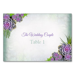 シーグリーン、バイオレットテーブルカードの多肉質の色合い テーブルナンバー