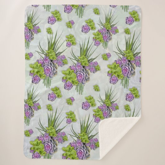 シーグリーン&ラベンダートーンの多肉質の色合い シェルパブランケット (正面)