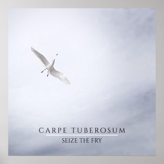 シーグルやる気を起こさせるカルペディエムフリフランスのーズミニ ポスター (正面)