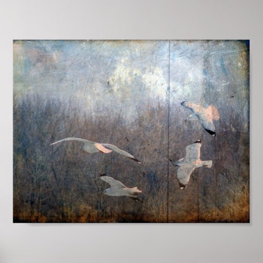 シーグルグランジス ポスター (正面)