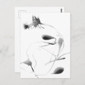 シーグルスとラベンダーシアノプリン ポストカード (正面/裏面)