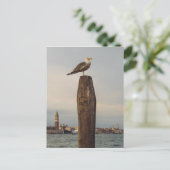 シーグルスインイタリアヴェニス ポストカード (スタンド正面)