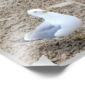 シーグルスオンザビーチ フォトプリント            (角)