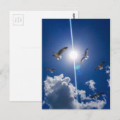 シーグルス飛んでいるスカイクラウドサン ポストカード (正面/裏面)