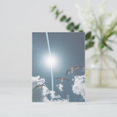 シーグルス飛んでいるスカイクラウドサン ポストカード (スタンド正面)