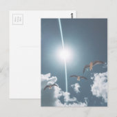 シーグルス飛んでいるスカイクラウドサン ポストカード (正面/裏面)