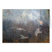 シーグルス (正面横)