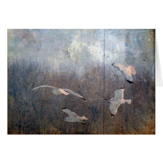 シーグルス (正面横)