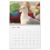 シーグルス2025 カレンダー (1月 2026)