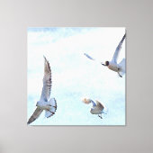 シーグルス3色 キャンバスプリント (正面)