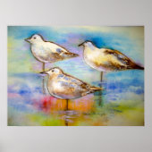 シーグルス – ポスター (正面)