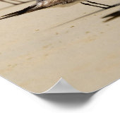 シーグルス ポスター (角)