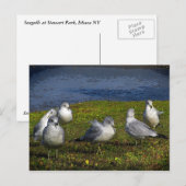 シーグルス ポストカード (正面/裏面)