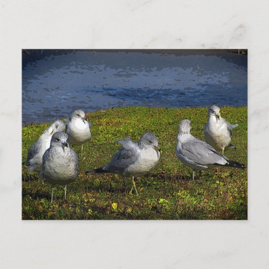 シーグルス ポストカード (正面)