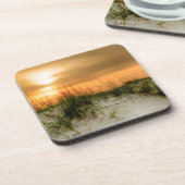 シーグルズアットサンライズ コースター (左側)