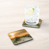 シーグルズアットサンライズ コースター (右側)