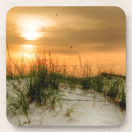 シーグルズアットサンライズ コースター (正面)