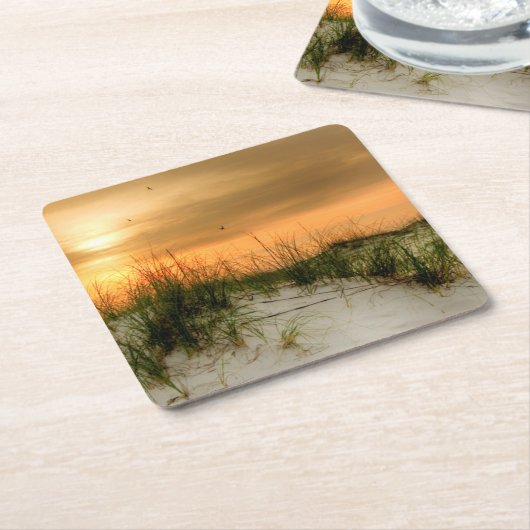 シーグルズアットサンライズ スクエアペーパーコースター (アングル)