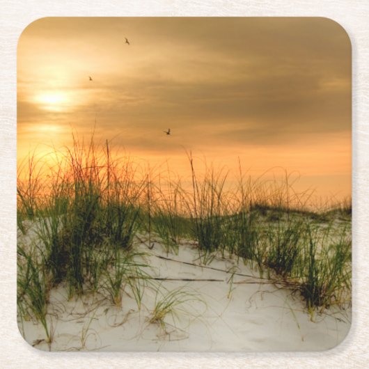 シーグルズアットサンライズ スクエアペーパーコースター (正面)