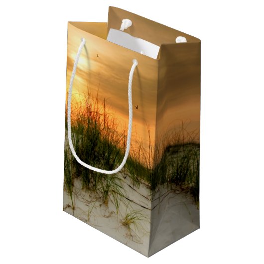 シーグルズアットサンライズ スモールペーパーバッグ (裏面アングル)