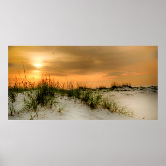 シーグルズアットサンライズ ポスター (正面)