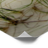 シーグルズアットサンライズ ポスター (角)