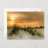 シーグルズアットサンライズ ポストカード (正面/裏面)