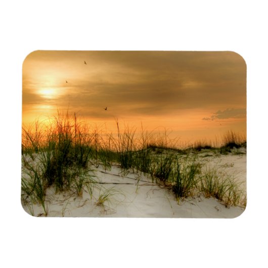 シーグルズアットサンライズ マグネット (横)