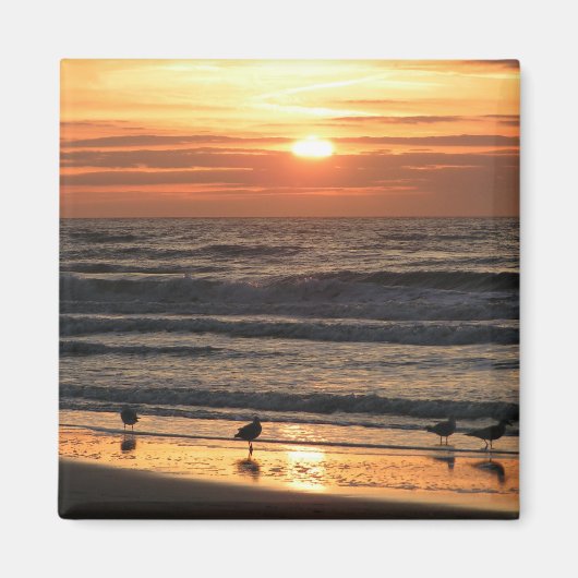 シーグルズバイザシーズアットサンセット マグネット (正面)