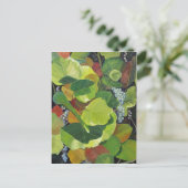 シーグレープ ポストカード (スタンド正面)