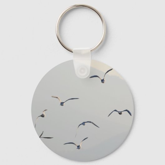 シーグ飛んでいるル キーホルダー (正面)