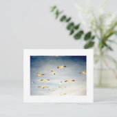 シーグ飛んでいるル ポストカード (スタンド正面)