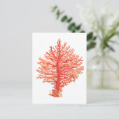 「シーコラル」海洋生物葉書 ポストカード (スタンド正面)