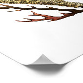 シーコーラルNo.2アンティーク自然史プリント ポスター (角)